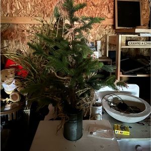 PRIMITIVE LOOKING TREE IN A CAN